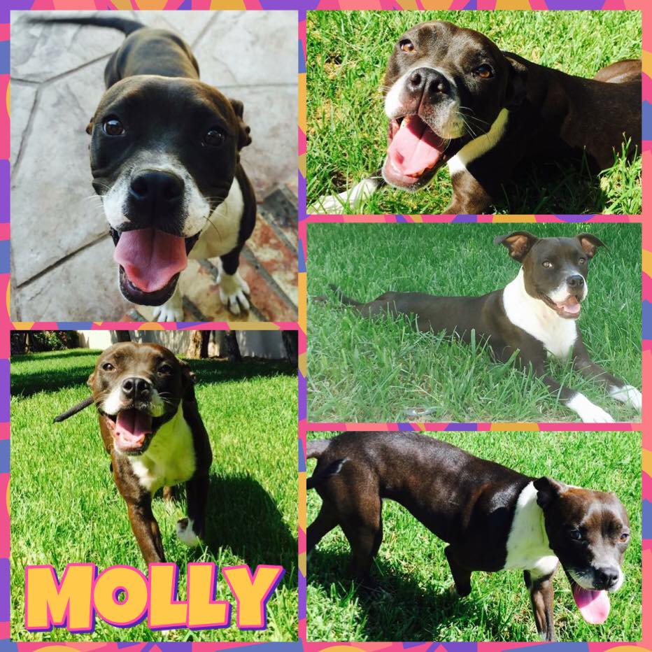 Molly